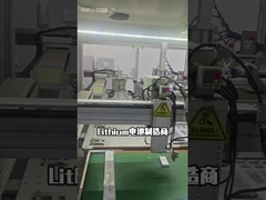 Lithium polymeerbatterij