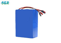 Flexibele het Fosfaat Navulbare Batterij 12 Volt 120Ah van het Lithiumijzer voor EV/Zonne