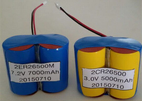 het Lithium Primaire Batterij van 1000mA LISOCL2 voor Verpleeghuissloten