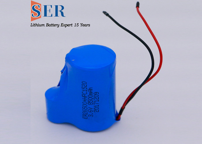 Nieuw Hybride van het de batterijlithium van de Impulscondensator van het de Batterijpak ER14505+1520 van Supercapacitor de Batterij3.6v Lisocl2 beslag Li-Socl2